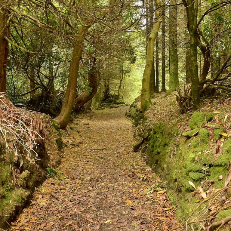 Things To Do In The Midlands Ireland