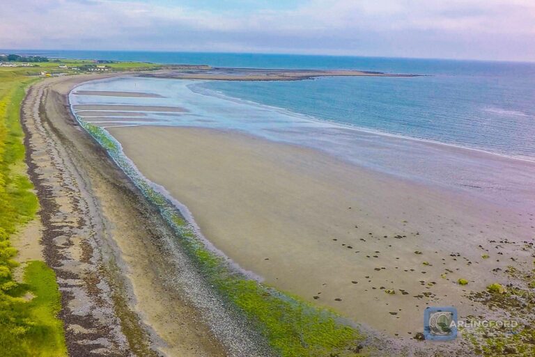 Carlingford Beach