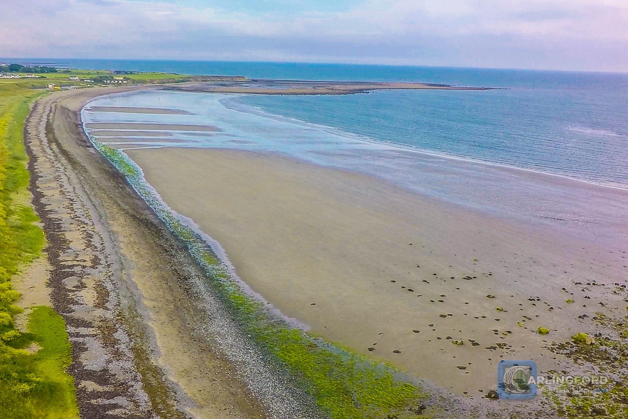 Carlingford Beach