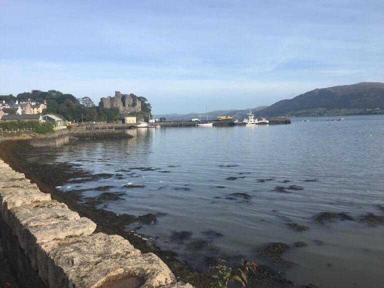 Oyster Bay Carlingford