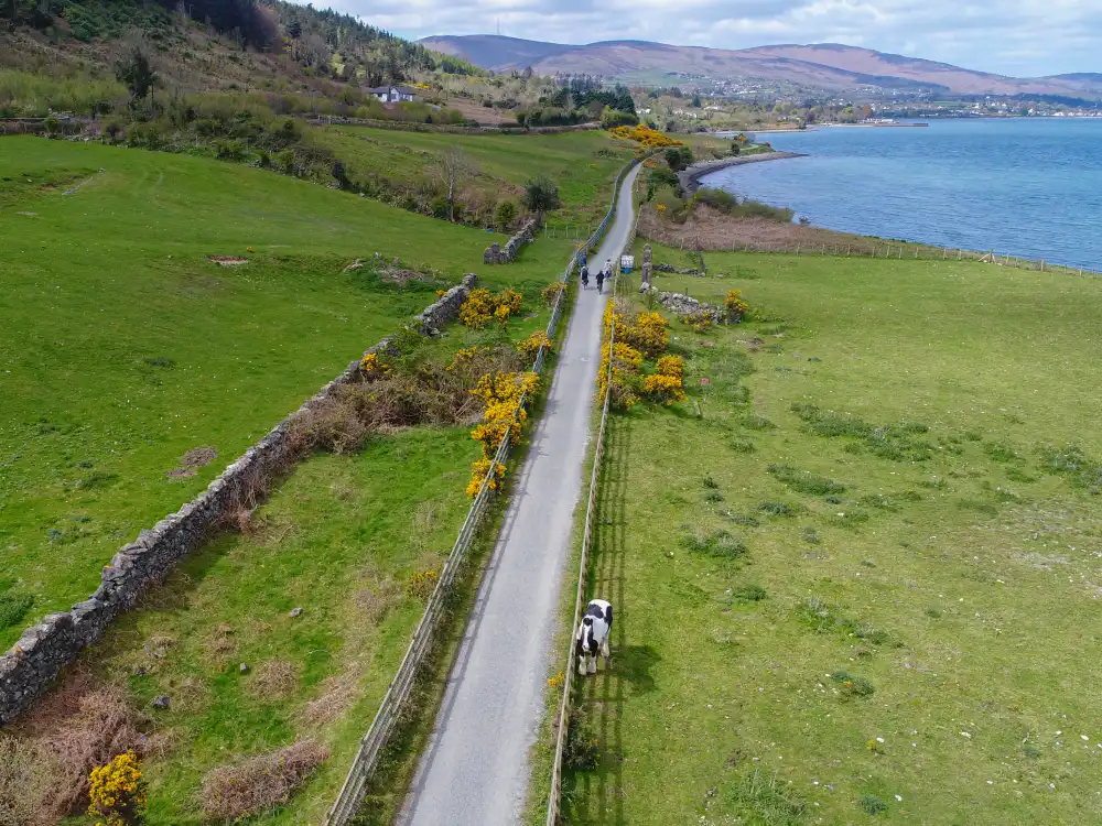 Carlingford, Ireland: A Complete Travel Guide Carlingford Greenway