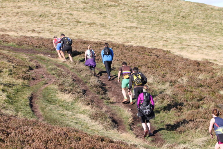 Carlingford Loop Walks