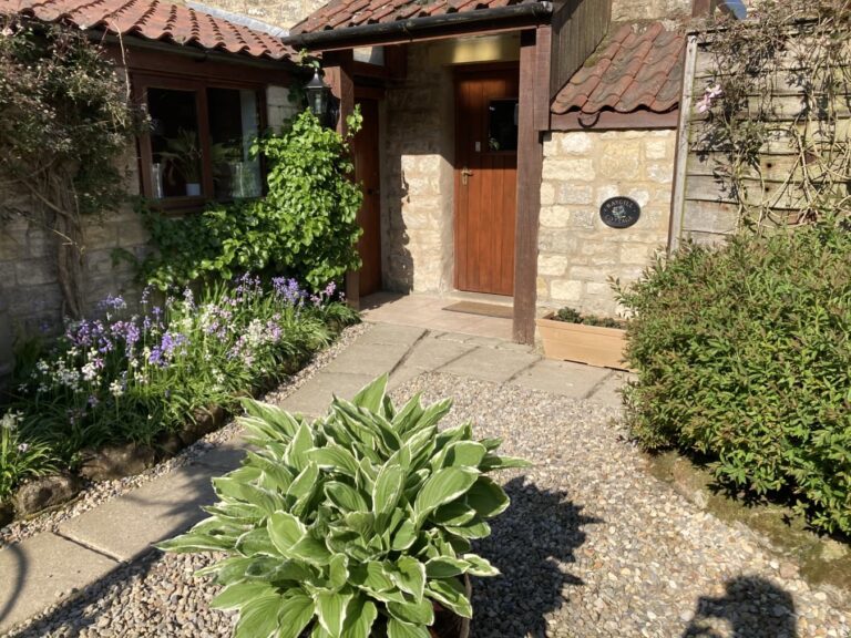 Affordable Places to Stay in Carlingford for Budget Travellers