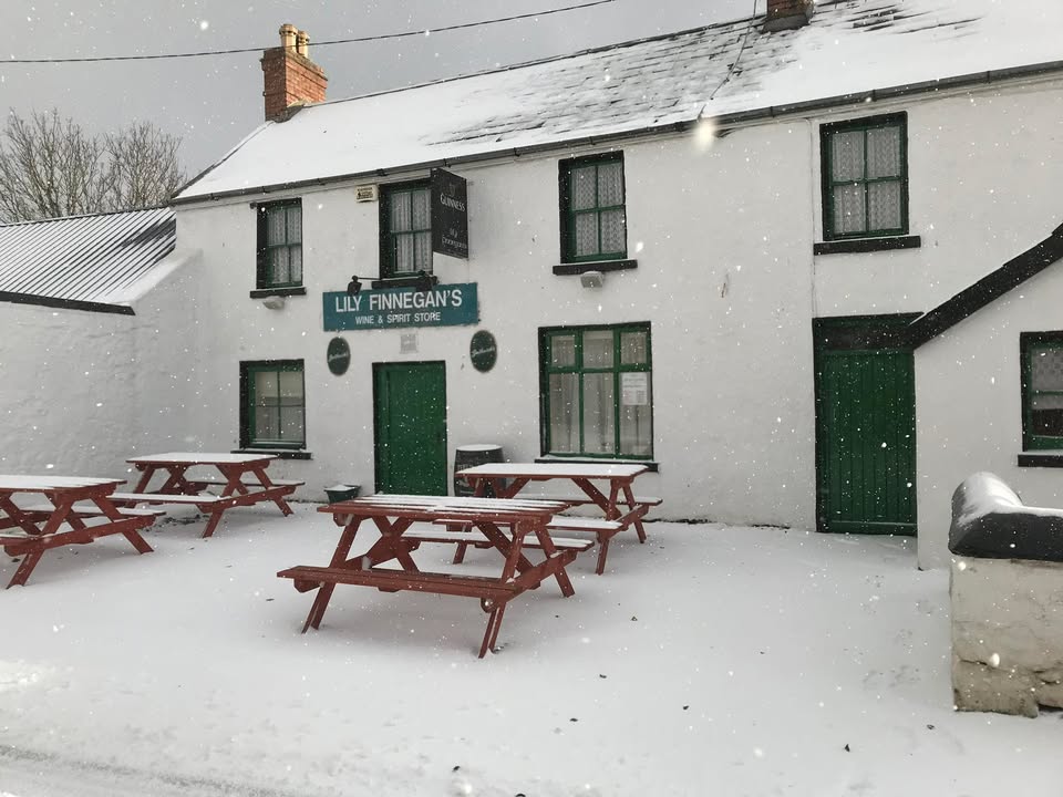 Lily Finnegan's