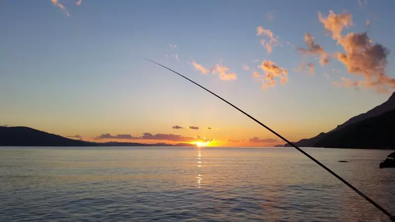 Carlingford Fishing